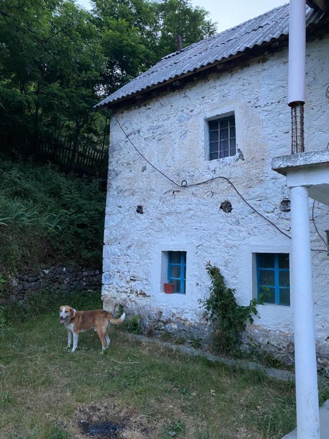 Apartmán Te Baca Qerim Lekbibaj